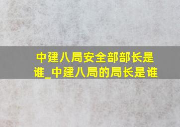 中建八局安全部部长是谁_中建八局的局长是谁