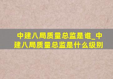 中建八局质量总监是谁_中建八局质量总监是什么级别