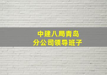 中建八局青岛分公司领导班子