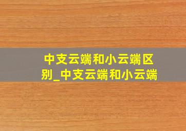 中支云端和小云端区别_中支云端和小云端