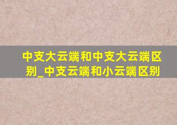 中支大云端和中支大云端区别_中支云端和小云端区别