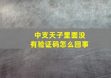 中支天子里面没有验证码怎么回事