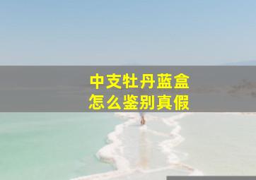 中支牡丹蓝盒怎么鉴别真假