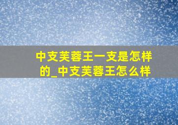 中支芙蓉王一支是怎样的_中支芙蓉王怎么样