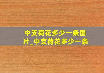 中支荷花多少一条图片_中支荷花多少一条