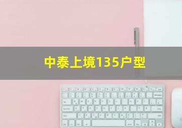 中泰上境135户型