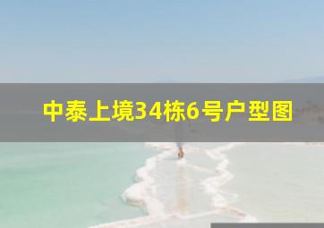 中泰上境34栋6号户型图