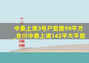 中泰上境3号户型图99平方_合川中泰上境142平大平层