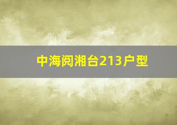 中海阅湘台213户型