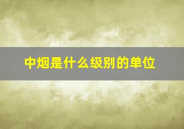 中烟是什么级别的单位