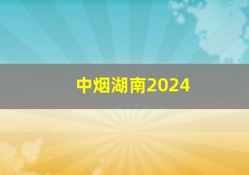 中烟湖南2024