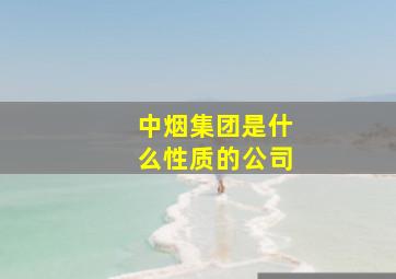 中烟集团是什么性质的公司