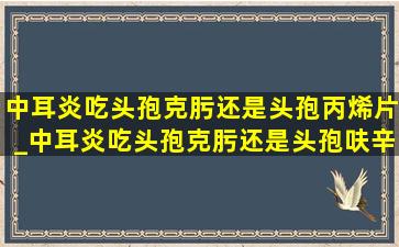 中耳炎吃头孢克肟还是头孢丙烯片_中耳炎吃头孢克肟还是头孢呋辛