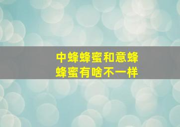 中蜂蜂蜜和意蜂蜂蜜有啥不一样