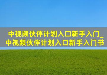 中视频伙伴计划入口新手入门_中视频伙伴计划入口新手入门书