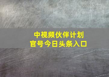 中视频伙伴计划官号今日头条入口