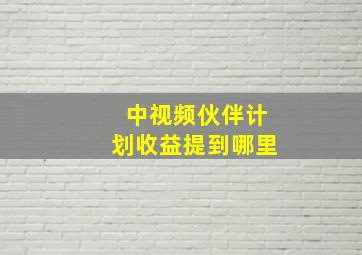 中视频伙伴计划收益提到哪里