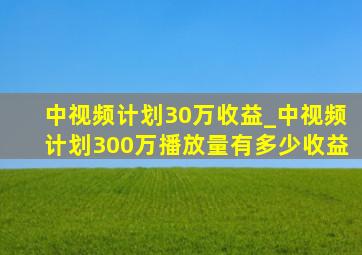 中视频计划30万收益_中视频计划300万播放量有多少收益