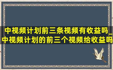 中视频计划前三条视频有收益吗_中视频计划的前三个视频给收益吗