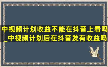 中视频计划收益不能在抖音上看吗_中视频计划后在抖音发有收益吗