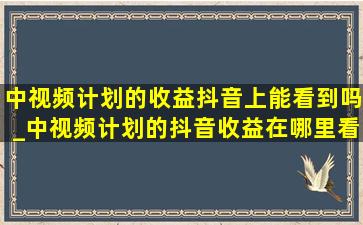 中视频计划的收益抖音上能看到吗_中视频计划的抖音收益在哪里看