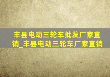 丰县电动三轮车批发厂家直销_丰县电动三轮车厂家直销