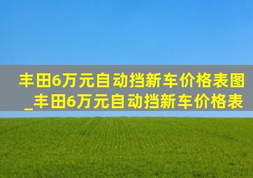 丰田6万元自动挡新车价格表图_丰田6万元自动挡新车价格表