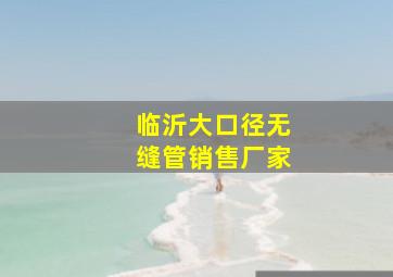 临沂大口径无缝管销售厂家