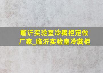 临沂实验室冷藏柜定做厂家_临沂实验室冷藏柜