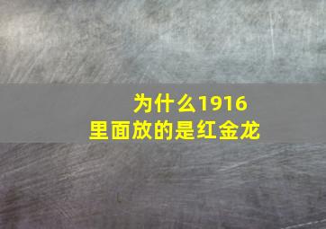 为什么1916里面放的是红金龙