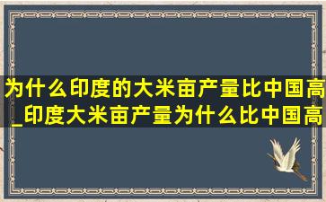 为什么印度的大米亩产量比中国高_印度大米亩产量为什么比中国高