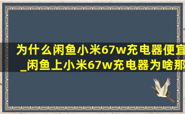 为什么闲鱼小米67w充电器便宜_闲鱼上小米67w充电器为啥那么便宜