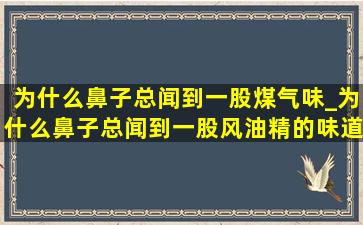 为什么鼻子总闻到一股煤气味_为什么鼻子总闻到一股风油精的味道