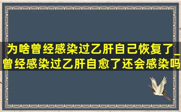 为啥曾经感染过乙肝自己恢复了_曾经感染过乙肝自愈了还会感染吗