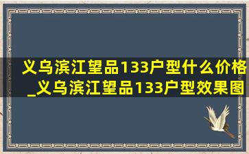 义乌滨江望品133户型什么价格_义乌滨江望品133户型效果图