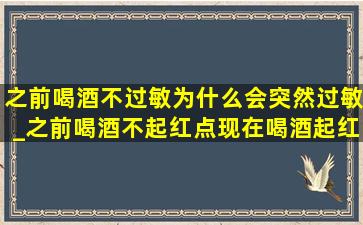 之前喝酒不过敏为什么会突然过敏_之前喝酒不起红点现在喝酒起红点