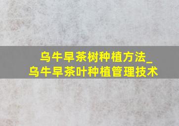 乌牛早茶树种植方法_乌牛早茶叶种植管理技术