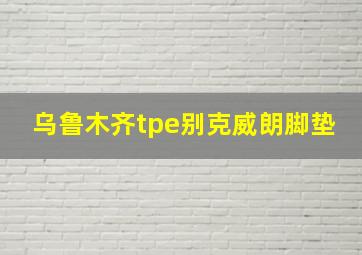 乌鲁木齐tpe别克威朗脚垫