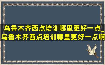 乌鲁木齐西点培训哪里更好一点_乌鲁木齐西点培训哪里更好一点啊