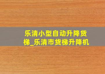 乐清小型自动升降货梯_乐清市货梯升降机