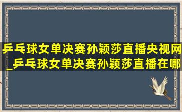 乒乓球女单决赛孙颖莎直播央视网_乒乓球女单决赛孙颖莎直播在哪台