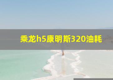 乘龙h5康明斯320油耗