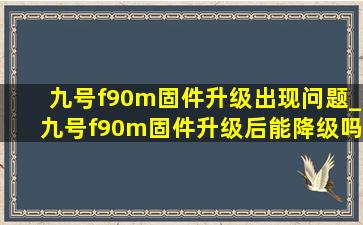 九号f90m固件升级出现问题_九号f90m固件升级后能降级吗