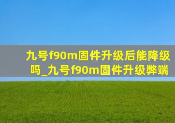 九号f90m固件升级后能降级吗_九号f90m固件升级弊端