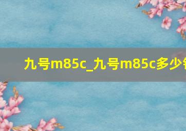 九号m85c_九号m85c多少钱