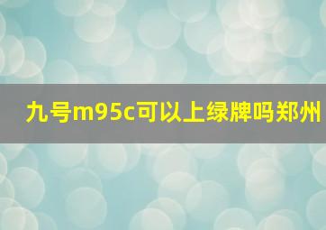 九号m95c可以上绿牌吗郑州