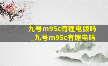 九号m95c有锂电版吗_九号m95c有锂电吗