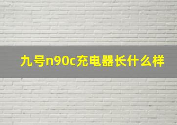 九号n90c充电器长什么样