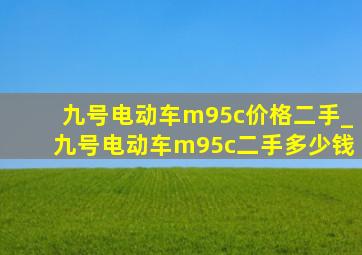 九号电动车m95c价格二手_九号电动车m95c二手多少钱