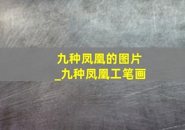 九种凤凰的图片_九种凤凰工笔画